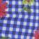 Gingham Floral