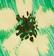 Green Combo