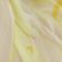 Lemon Floral