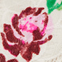 Romance Rose