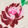 Rose Romantique