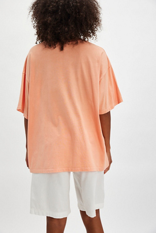 The Beach Boys Surfer Tee