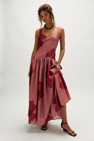 Hutch The Ridge Printed Dress product page