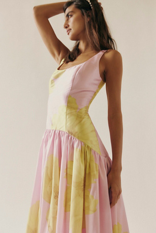 Hutch The Ridge Printed Dress product page