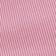 Pink Carnation