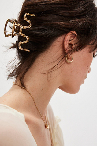 Can't Be Tamed Claw Clip
