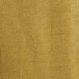Amber Olive