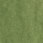 Calla Green