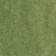Calla Green
