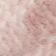 Coral Pink