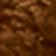 Coconut Shell