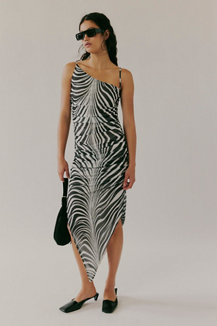 Saemdi Zebra Mesh Dress