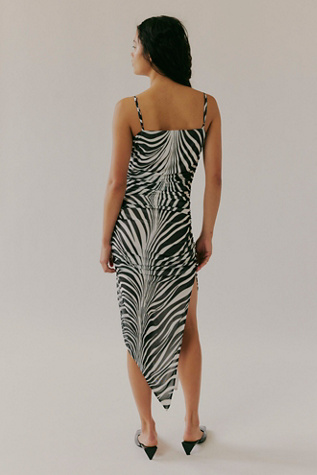 Saemdi Zebra Mesh Dress