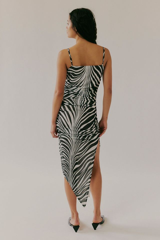 Saemdi Zebra Mesh Dress #1