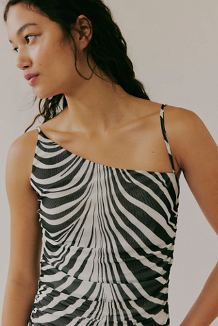 Saemdi Zebra Mesh Dress