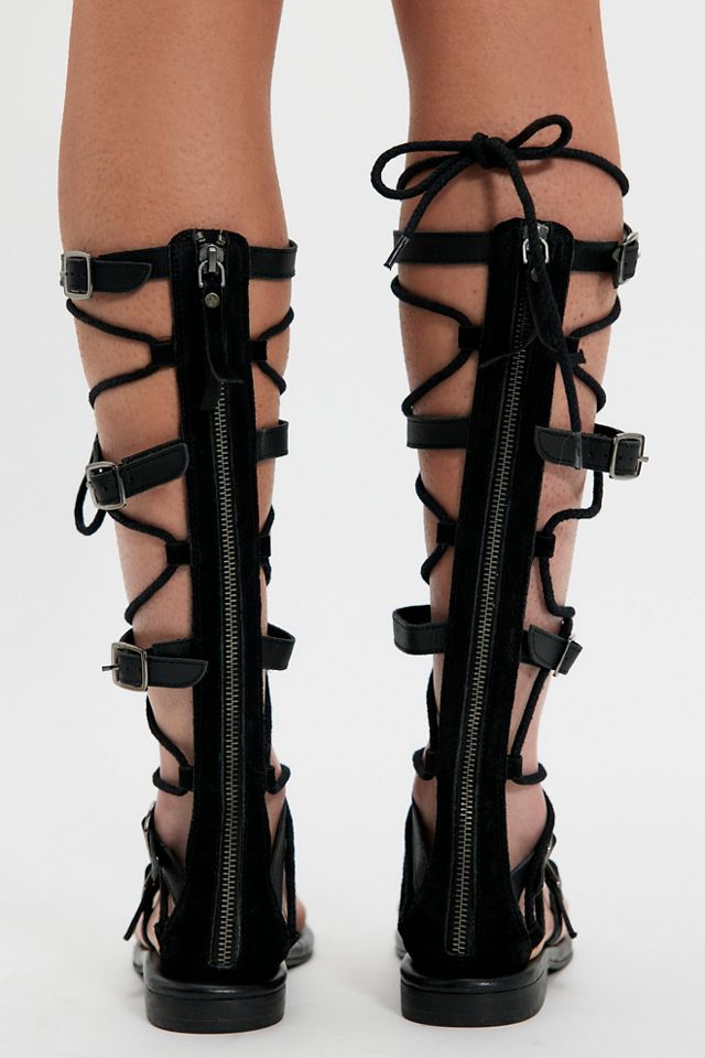 Driftwood Tall Gladiators #6