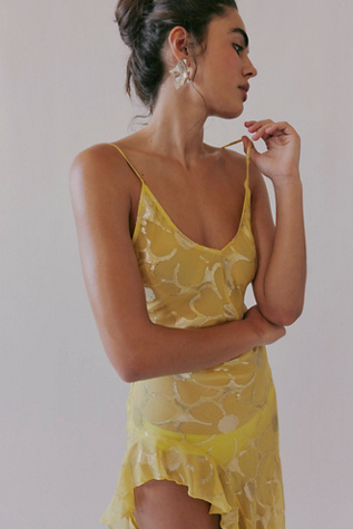 Robe Lara DELFI