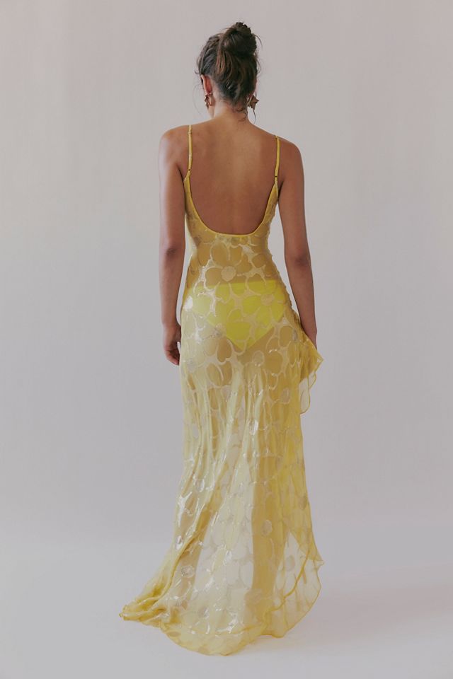 Robe Lara DELFI #1