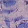 Purple - FP Exclusive