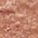 Desert Rose