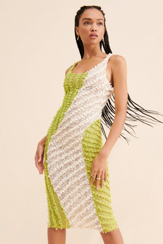 Selva Negra Textured Mesh Dress