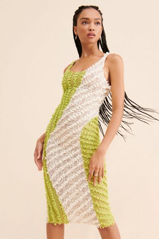 Selva Negra Textured Mesh Dress