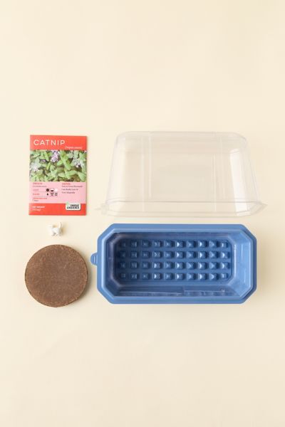 URBAN OUTFITTERS CRAZY CAT PLANT ULTIMATE CATNIP GROWING KIT IN GREEN AT URBAN OUTFITTERS 