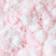 Seashell Pink