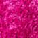 Chroma Pink