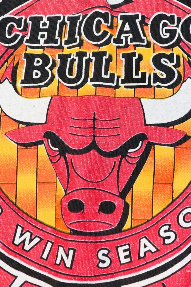 Vintage NBA Chicago Bulls Graphic T-Shirt #3