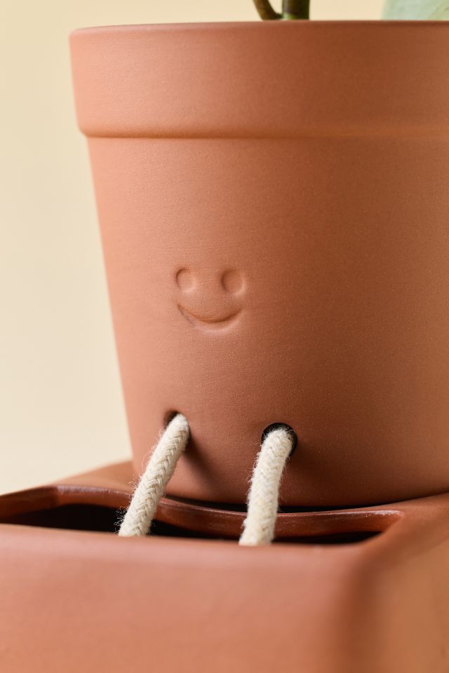 Pikkii Self-Care Self-Watering Planter #2