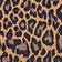 Leopard Contrast Ties