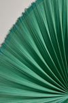 Palmera Fan Floating Headboard