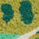 Green Multi