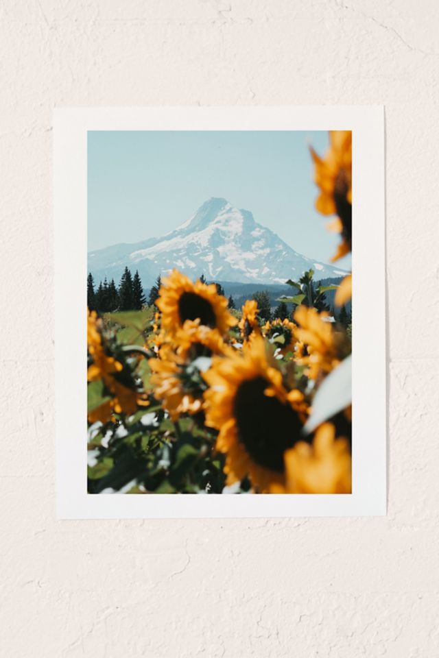 Hillary Murphy Mt. Hood Sunflower Field Art Print #1