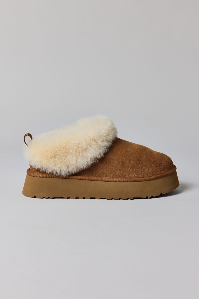 UGG Women's Tazzelle Sheepskin Slipper