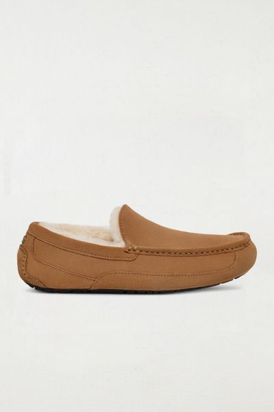 UGG Men's Ascot Slipper
