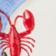Lobster