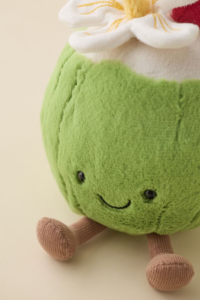 Jellycat Amuseables Aruba Coconut Plushie | Urban Outfitters