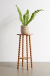 Willow Tall Wood Side Table
