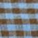 Blue Multi Gingham