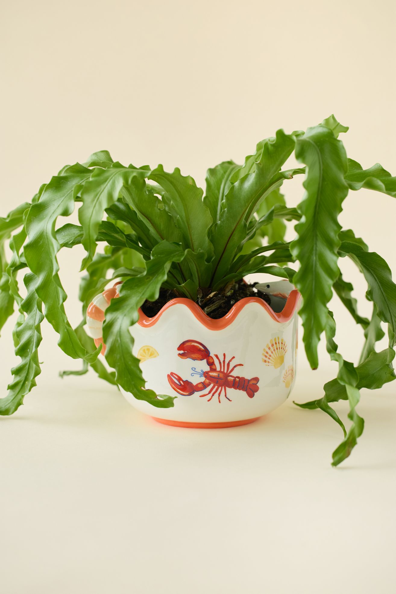 Lobster Dinner Scalloped Ceramic Planter - Red, Regular, ONE SIZE