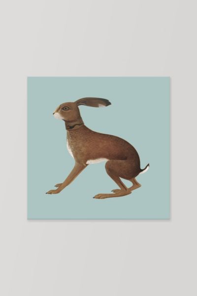 Vashti Bunyan - Lookaftering (Expanded Edition) LP