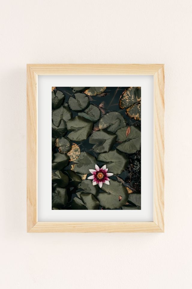 Ingrid Beddoes Photography Lily Pond Art Print #1