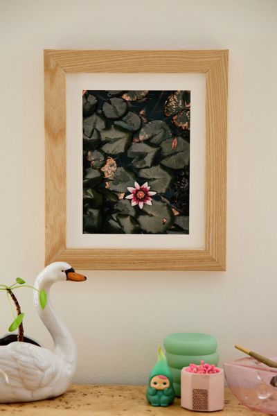 Impression d'art Lily Pond par Ingrid Beddoes