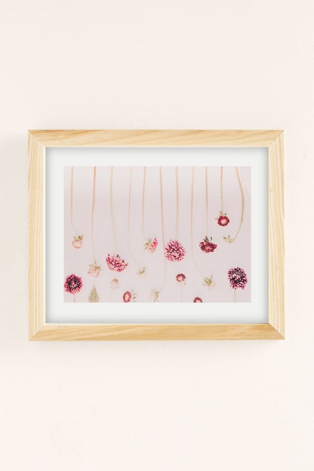 Ingrid Beddoes Photography Strawflowers Art Print #1