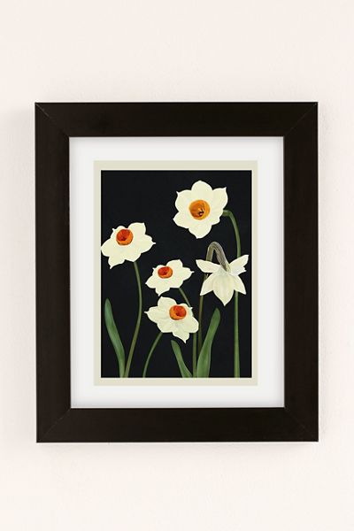 Nadja Beautiful Summer Flowers Art Print