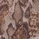 Snake Print