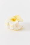 Hibiscus Flower Claw Clip