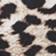 Grey Leopard